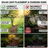 Outdoor Solar Firefly LED Lights